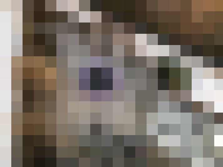  / #22