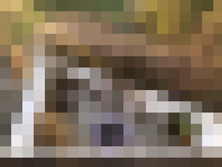  / #24