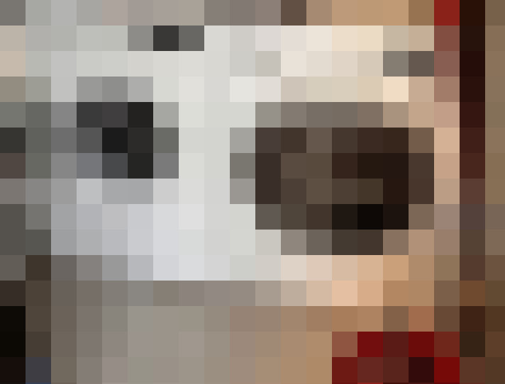  / #19