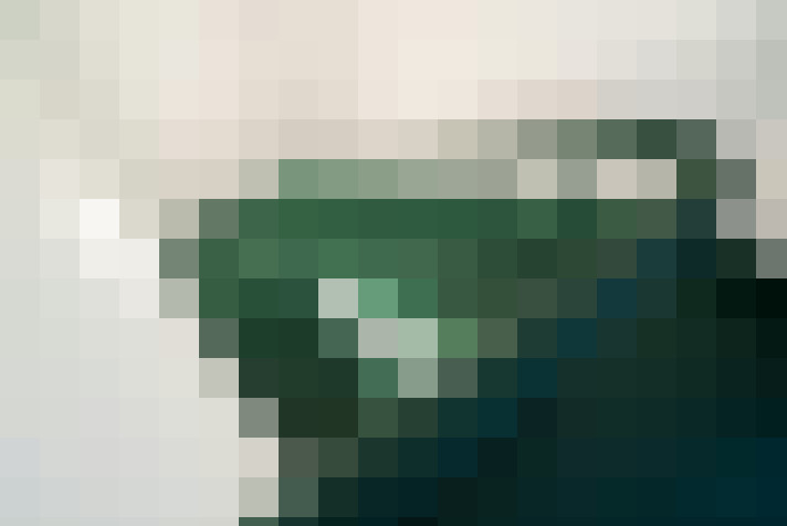  / #19