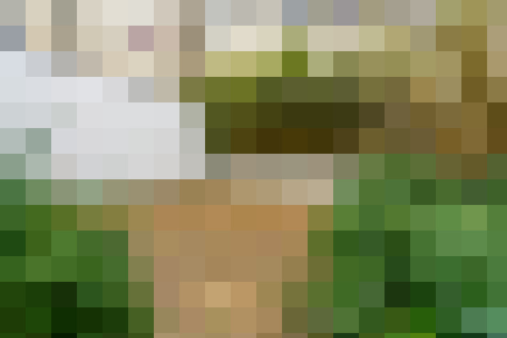  / #18