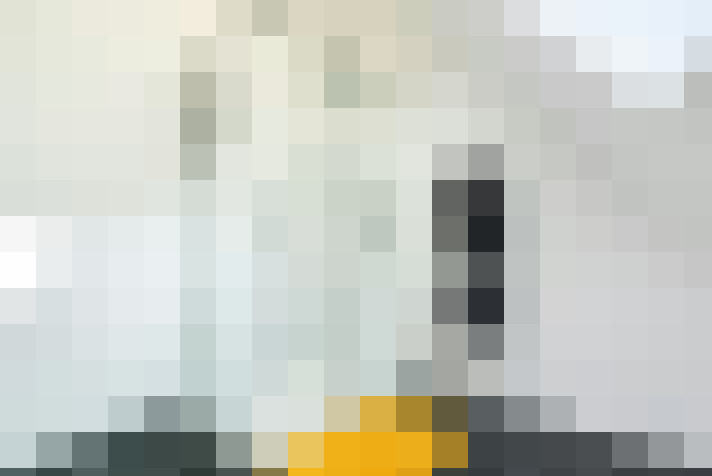  / #17
