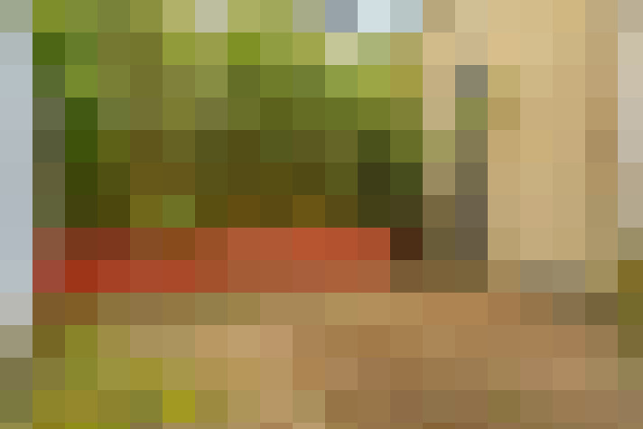  / #14