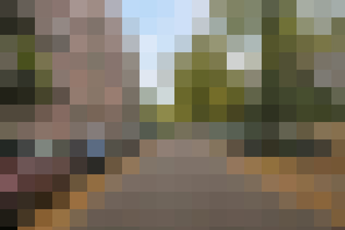 Image 23