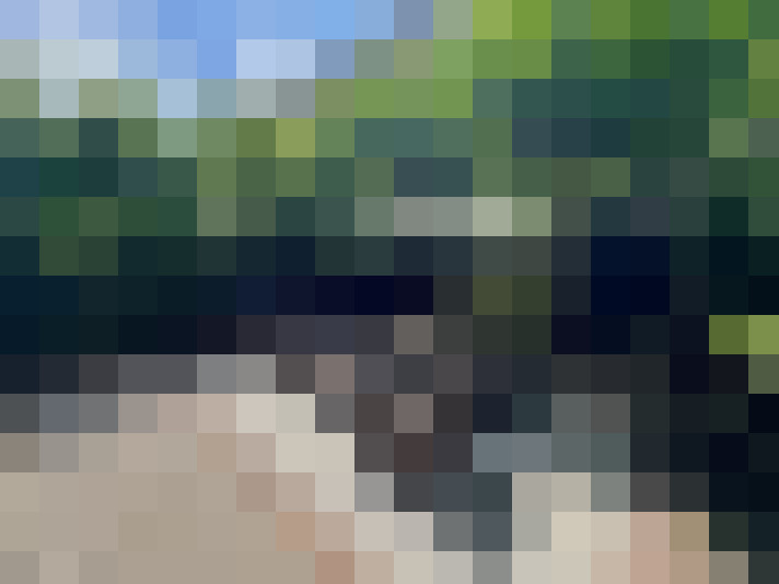 Image 22