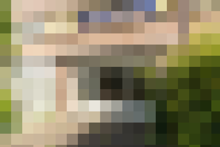 Image 17