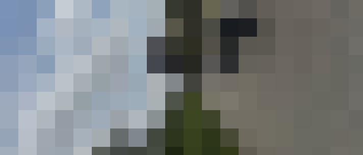 Image 22
