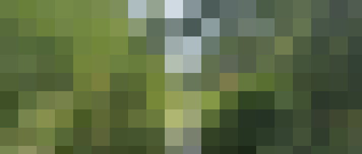 Image 27