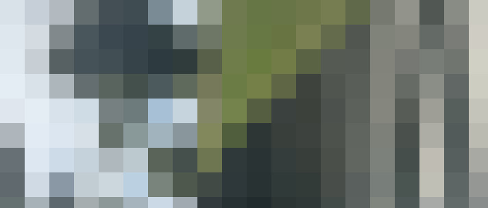 Image 25