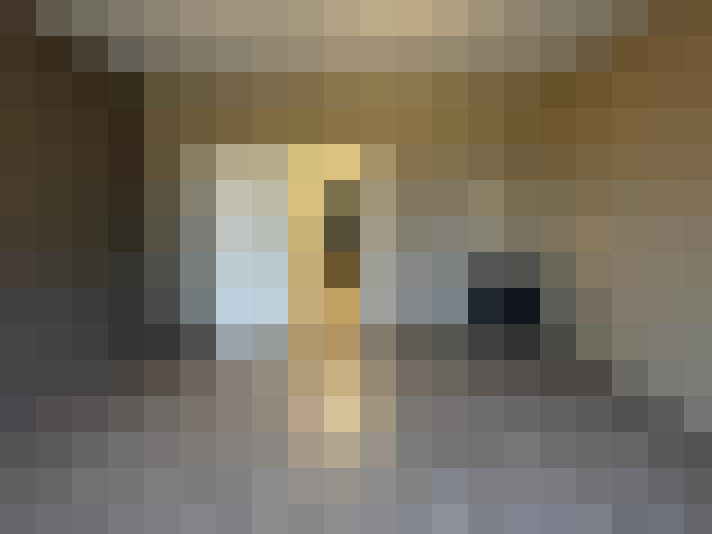 Image 15