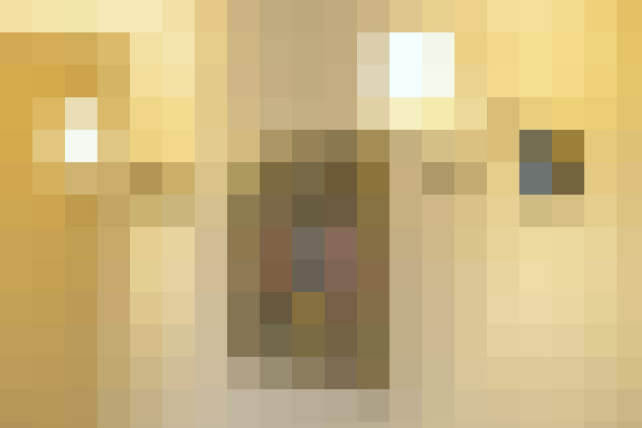  / #22