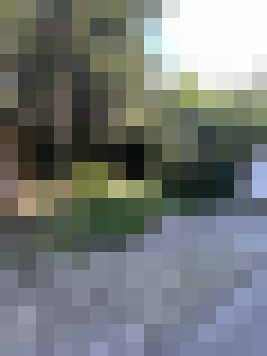 Image 15