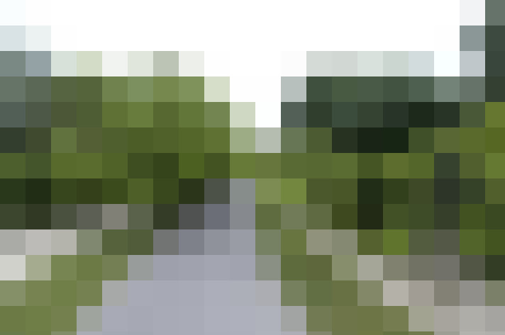 Image 25