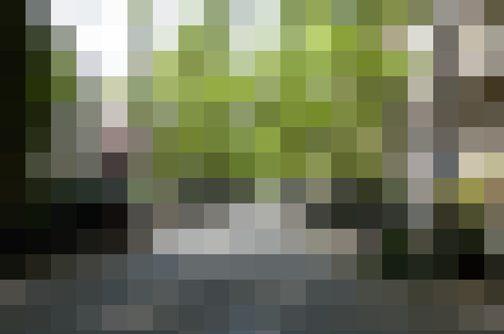 Image 27
