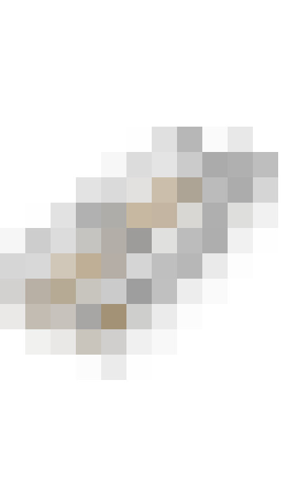 Image 58