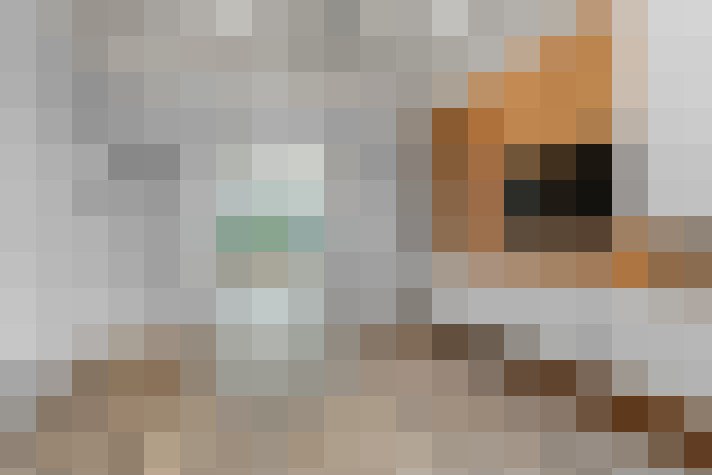 Image 20