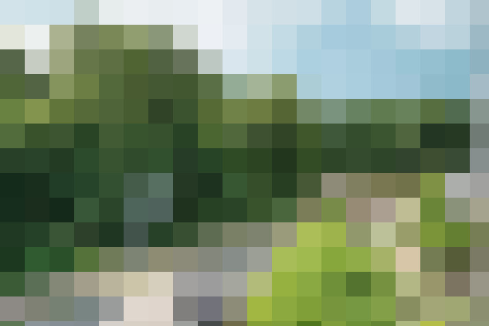 Image 37