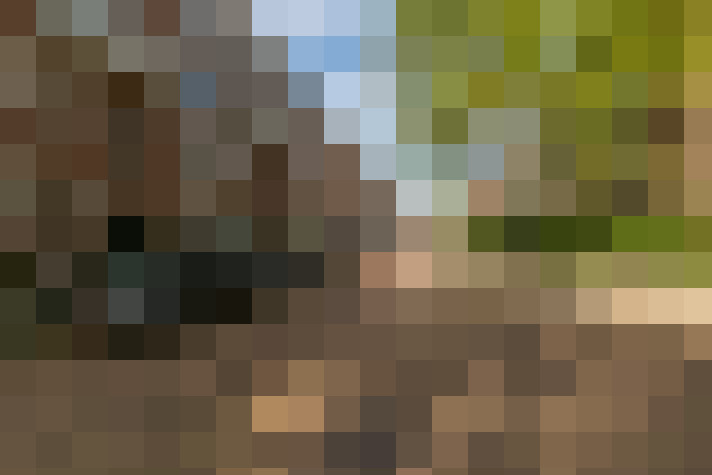 Image 37
