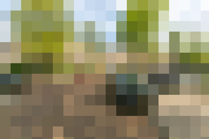 Image 36
