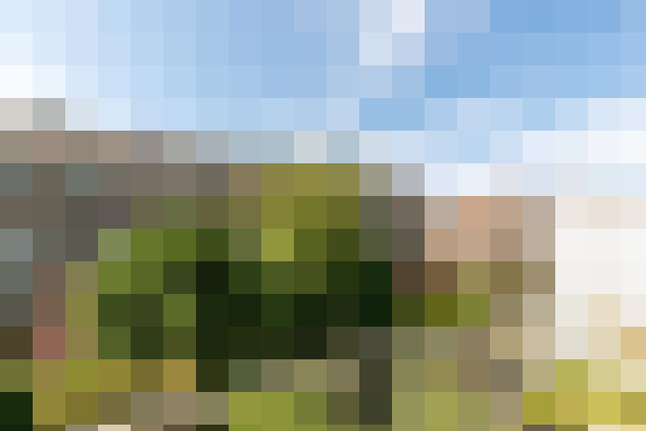 Image 39