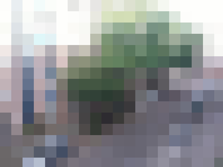 Image 13