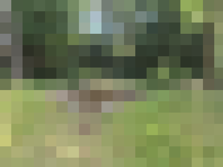 Image 22