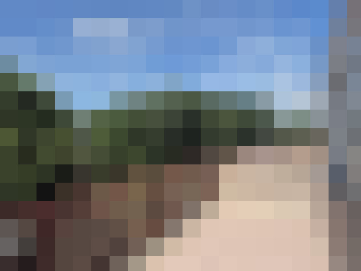Image 20