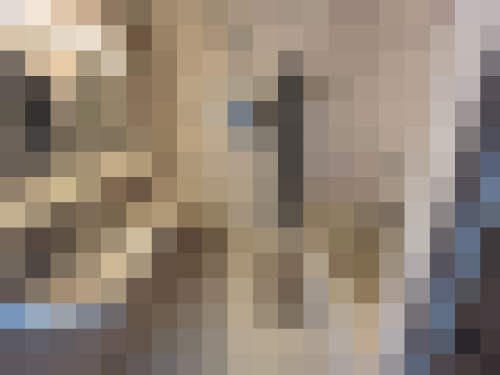 Image 14