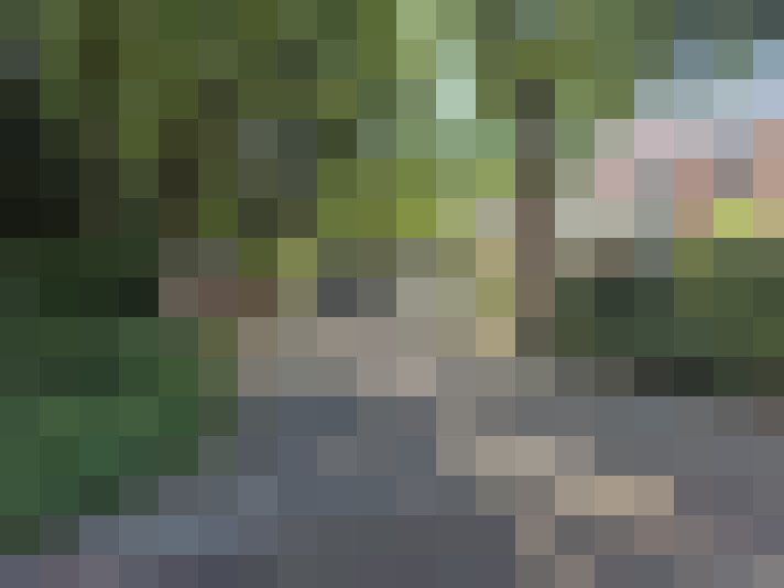 Image 23