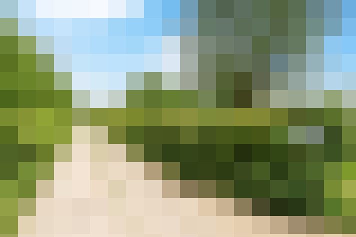 Image 23