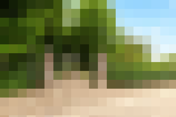 Image 22