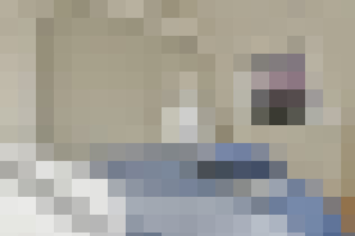 Image 14