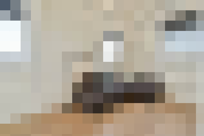 Image 17