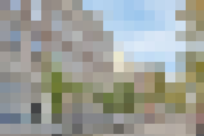 Image 22