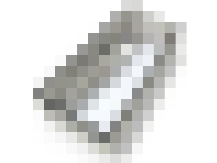 Image 31