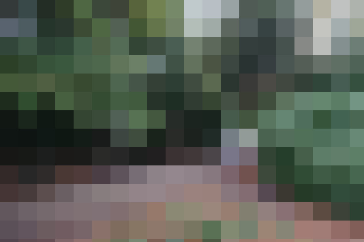 Image 17