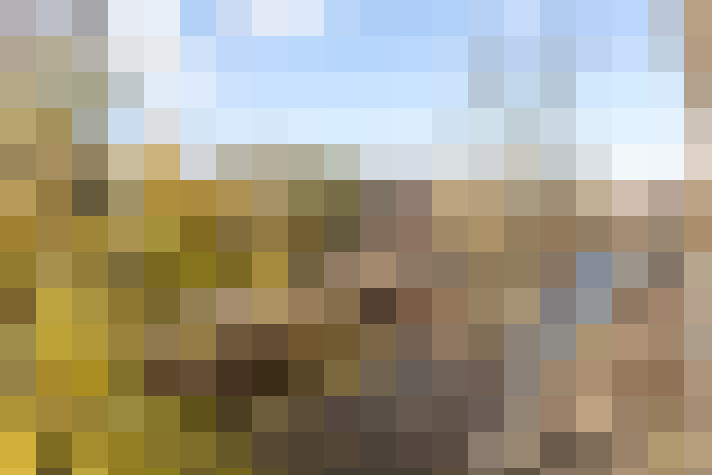 Image 22