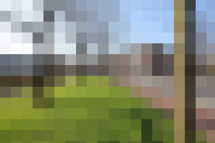 Image 24