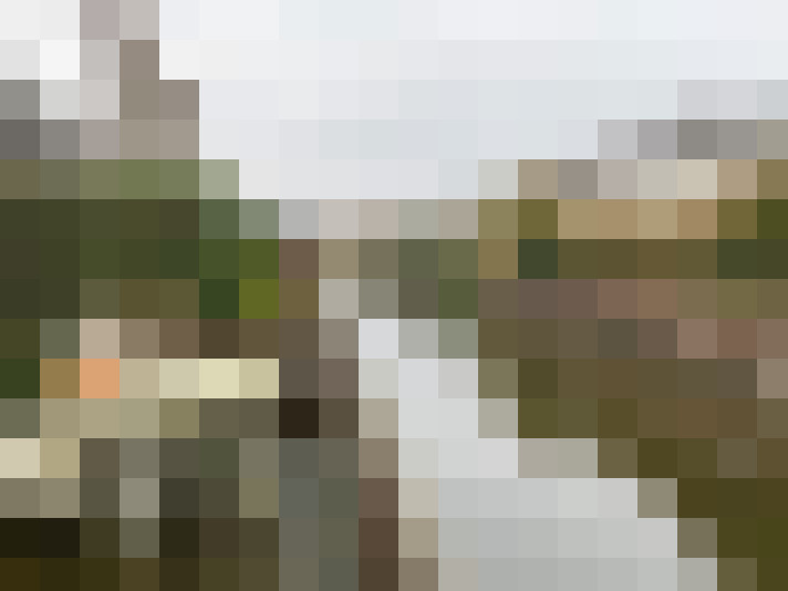 Image 17