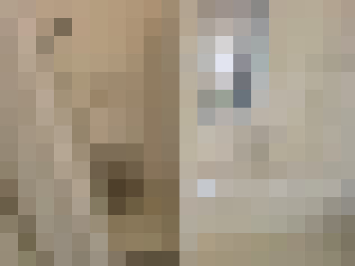 Image 29