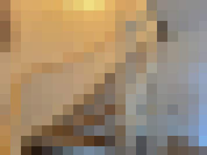 Image 33