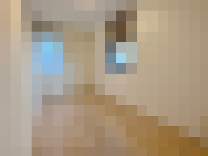 Image 32