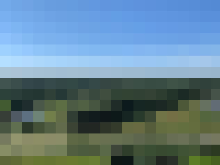 Image 17