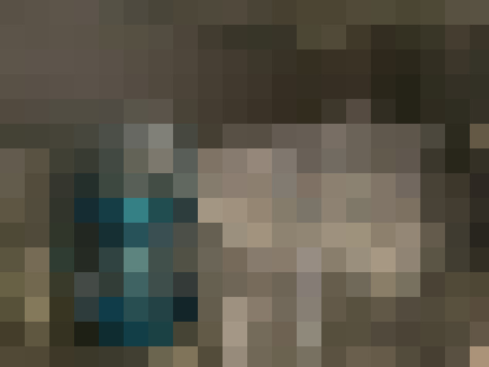 Image 15