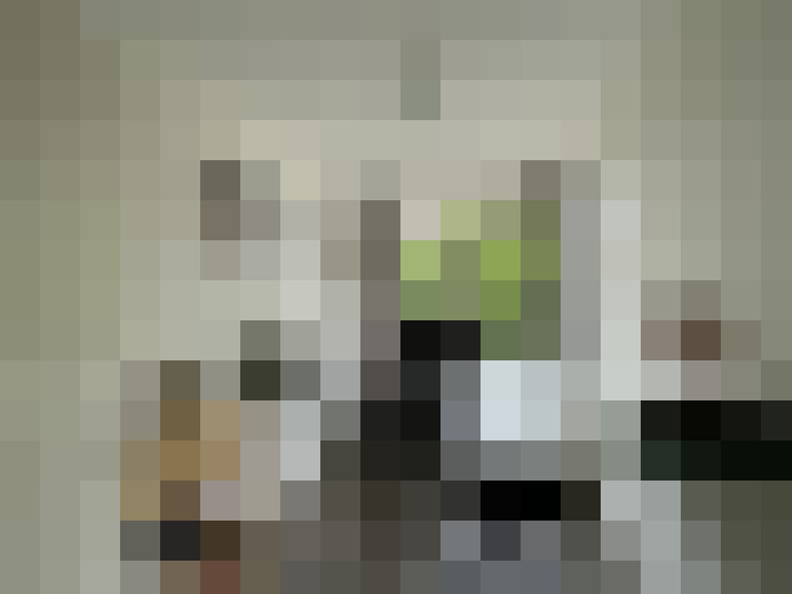 Image 21