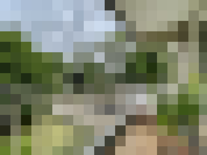 Image 16