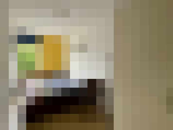 Image 20