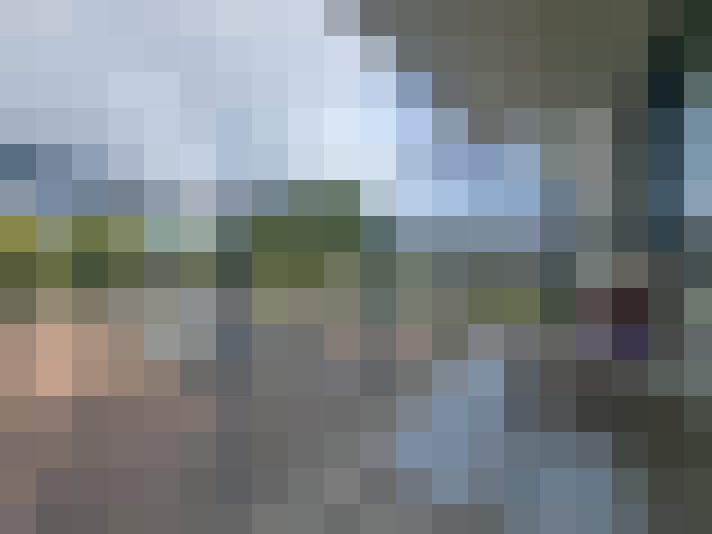 Image 21