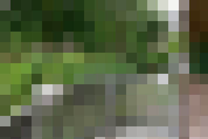 Image 14