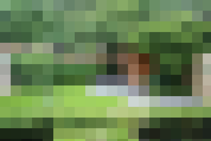 Image 31